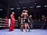 12-dotf-246
