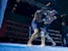 dayofthefight2018_209