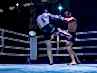 dayofthefight2018_482