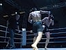 dayofthefight2018_498