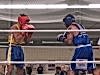 schonebeck-01-2010-21