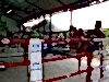 thailand-2011-619
